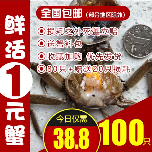 100只活蟹鲜活盘锦稻田蟹一元蟹