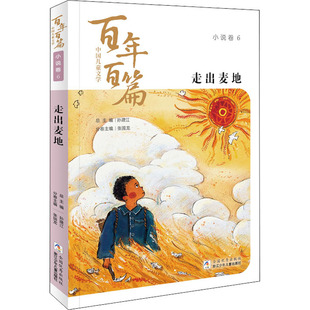 走出麦地 不详 浙江少年儿童出版社 【正版图书书籍】