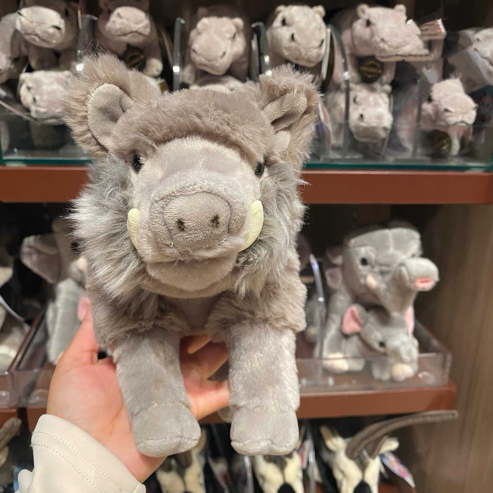 珠海广州长隆纪念品海洋馆野猪毛绒玩具抱枕玩偶儿童安抚伴睡柔软
