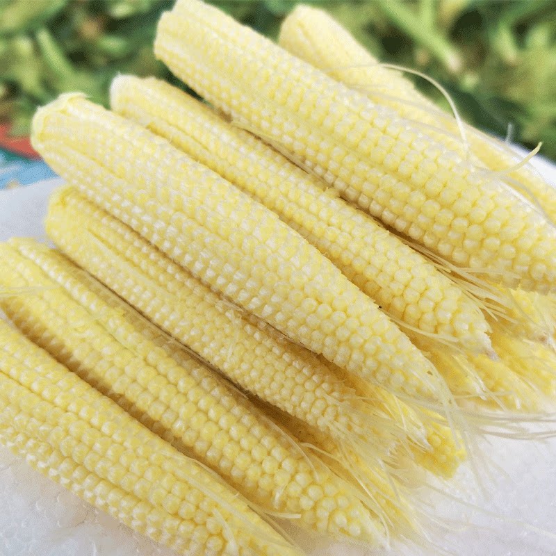 农产品新鲜甜小玉米笋芯仔嫩玉米餐馆酒店菜现摘现发9斤装包邮