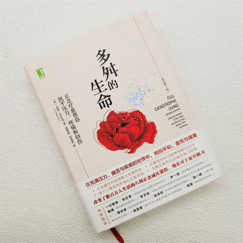 多舛的生命:正念疗愈帮你抚平压力、疼痛和创伤属于什么档次？