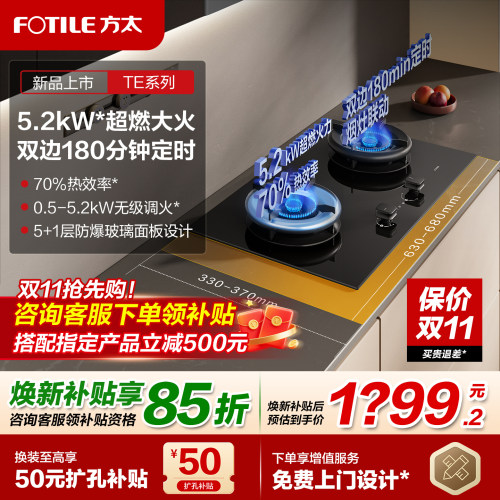 方太TE21双边定时燃气灶