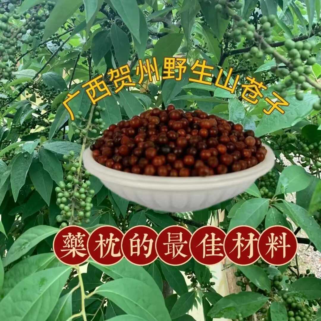 去皮野生山苍子助眠护颈家用枕头填充料木姜子山胡椒枕芯填充原料