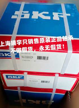 瑞典SKF圆柱滚子轴承NU318ECP NU318ECJ NU318ECM/C3等现货