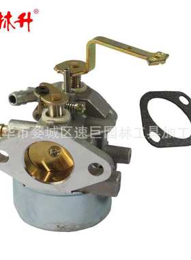 林升Coleman Powermate 8HP 10HP ER 4000 5000 瓦发电机 6250