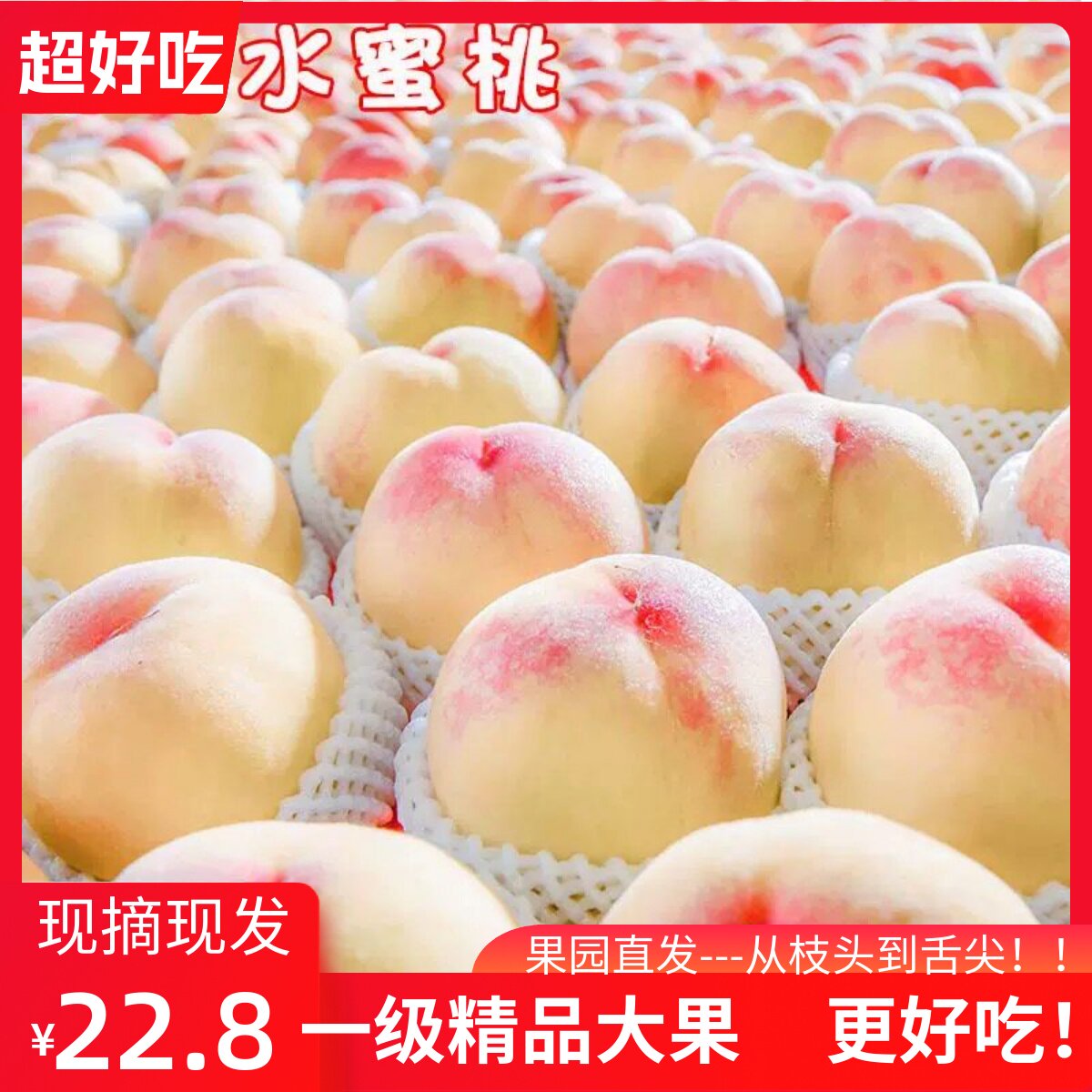 现摘无锡白凤湖景水蜜桃5两应当季新鲜孕妇水果大毛桃子农家整箱6