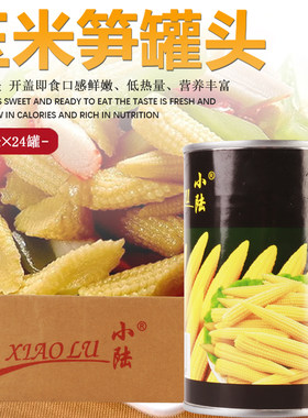 小陆玉米笋罐头425g即食