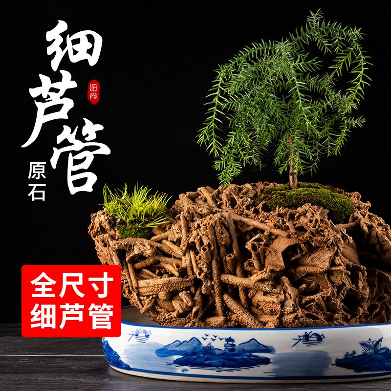 天然芦管石盆景吸水石原石上水石假山造景摆件配件麦管石水草化石