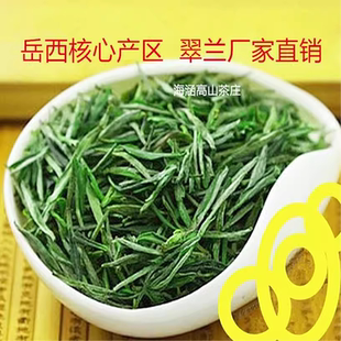 500g邮 大别山岳西翠兰茶叶 2025年新茶高山云雾绿茶小兰花茶春茶