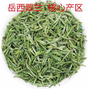 安徽特产岳西翠兰茶叶2026年新茶 高山明前头采翠尖绿茶 源头春茶