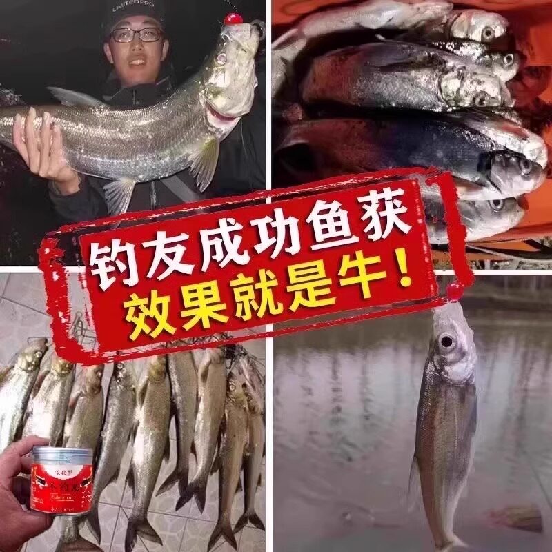 冬钓饵料腥香型野钓黑坑鲫鲤草鱼鲤翘嘴白条通杀垂钓低温专用神器