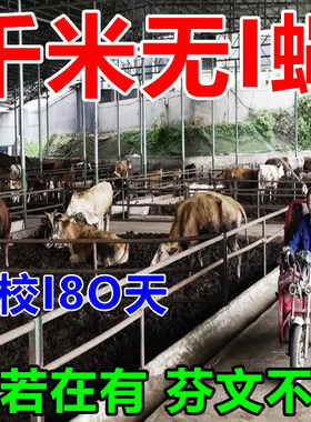 养殖场长效苍蝇药灭蝇神器喷雾剂