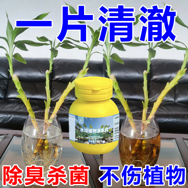 富贵竹水培植物净水片营养片防臭水浑水碗莲水培花卉通用净化水质,鲜花速递/花卉仿真/绿植园艺,土壤覆盖物,淘宝优惠券,粉丝福利购,淘宝优惠卷