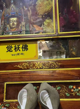 海螺/右旋螺/S出 法螺/佛堂供奉/大日如来/庙出祝福/收藏品/一对