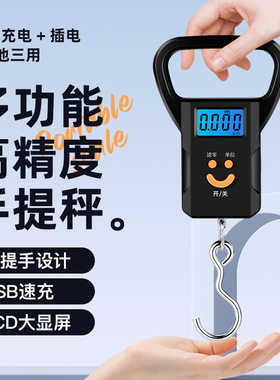 德国手提电子秤高精度家用小型便携式50公斤市场称菜精准弹簧称D
