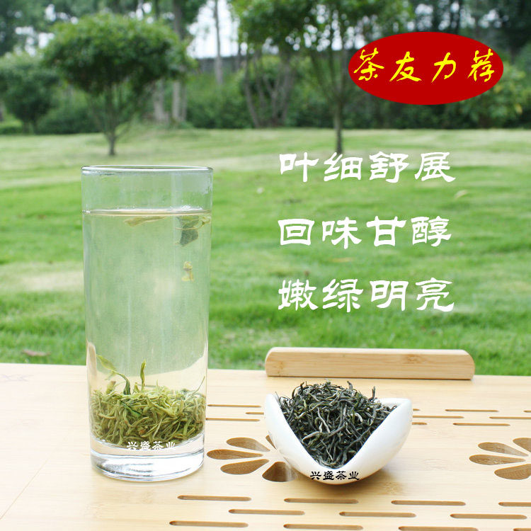 2022新茶紫阳翠峰 富硒茶叶 袋装绿茶一级散装春茶浓香耐泡翠峰茶