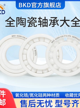 德国进口BKD氧化锆全陶瓷轴承6000 6001 6002 6003 6004 CE P5 P4