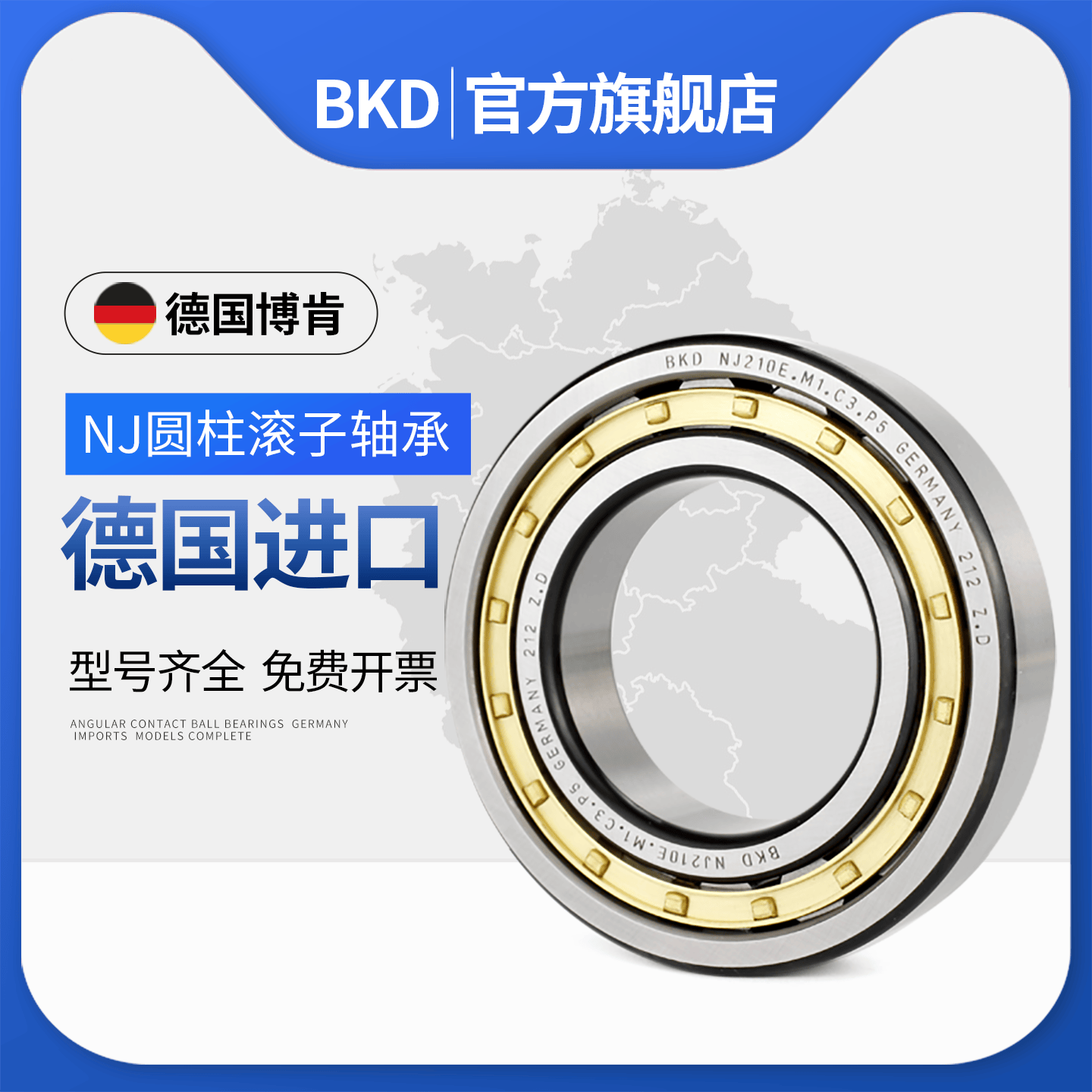 德国进口圆柱滚子轴承BKD