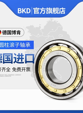 德国BKD圆柱滚子进口轴承N405 N406 N407 N408 EM P4 P5 铜保持架