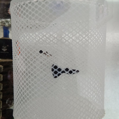 新款玛丽鱼水族孔雀鱼繁殖孵化盒胎生鱼隔离网保护幼鱼小鱼苗鱼缸