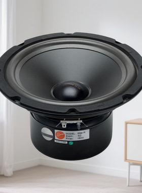 Hivi/惠威SS8IIR中低音喇叭单元发烧HIFI家用音箱