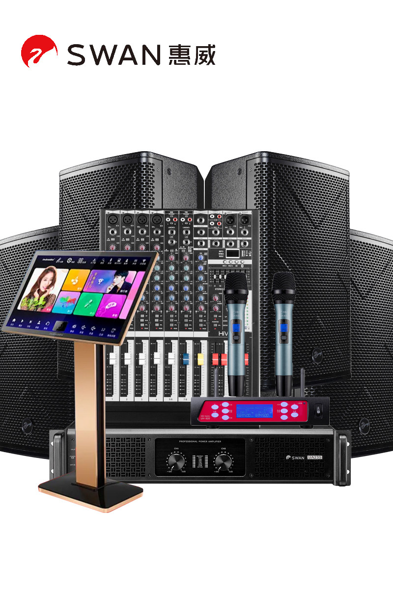 Hivi/惠威10寸会议室音响套装20-100平培训家庭KTV音箱卡包