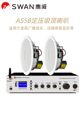 Hivi/惠威 AS5B AS5A天花吸顶喇叭吊顶音响套装背景音乐广播功放
