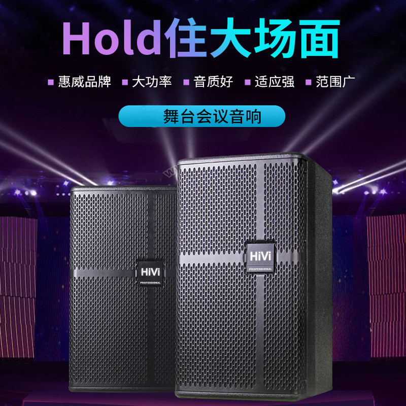 Hivi/惠威 DS810/812专业舞台家庭KTV音响12寸酒吧会议卡拉OK音箱