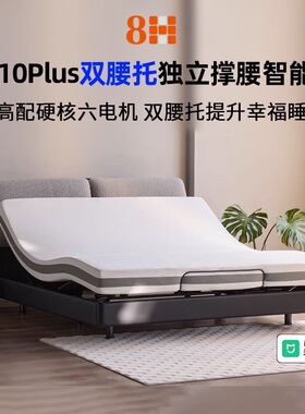 8H智能电动床DT10plus双腰托智能床垫双电机双支撑零重力床垫
