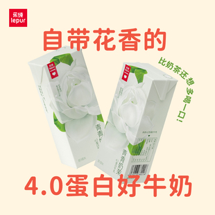 10盒 乐纯青青奶茉4g蛋白茉莉牛奶200ml 2箱 吉杰推荐