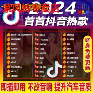 DJ音乐usb优盘 汽车载u盘歌曲2023新款 无损高音质品质车用抖音经典