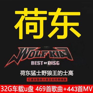 荷东猛士野狼王全集经典的士高车载u盘mv英文dj舞曲音乐高品质MP3