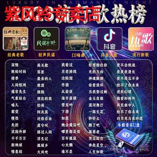 汽车载U盘无损高音质品质车用2023抖音新歌曲网红dj经典 音乐优盘