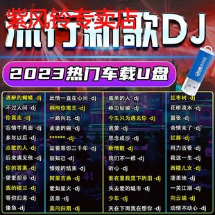 汽车载u盘无损高音质2023年抖音dj热歌网红歌曲车用流行音乐优盘