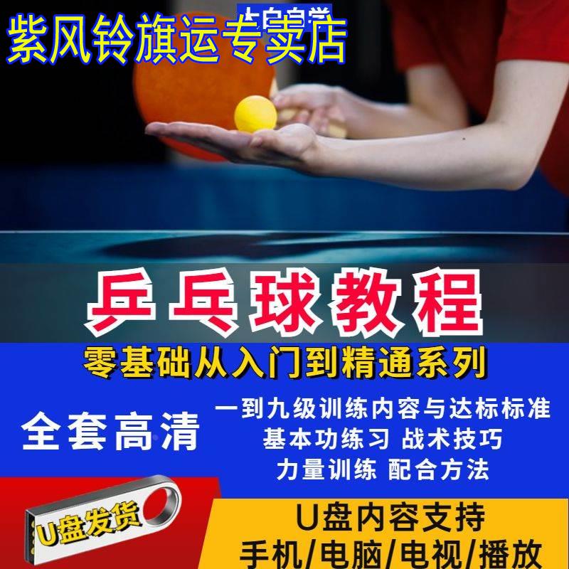 乒乓球教学视频教程u盘入门到专业动作训练自学技巧培训全套优盘 乐器/吉他/钢琴/配件 声卡转换器 原图主图