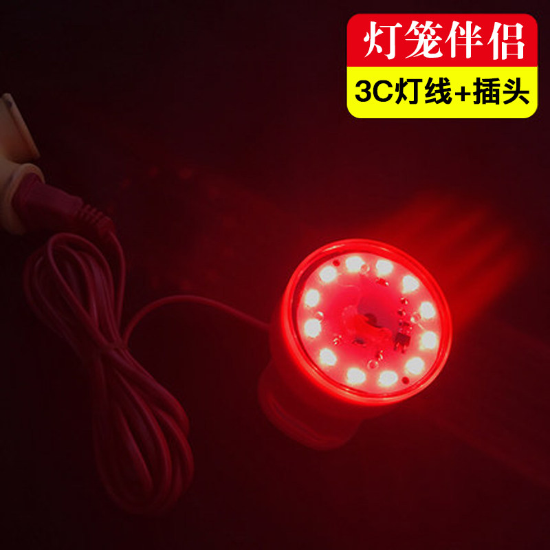 发光大红灯笼led灯2米插电阳台