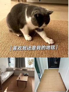 剑麻地毯客厅茶室入户玄关地垫防滑垫猫抓垫可定制