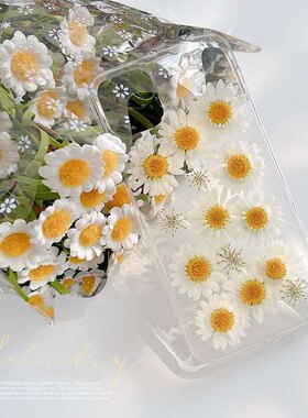 雏菊干花一加9r手机壳7tpro6t5t