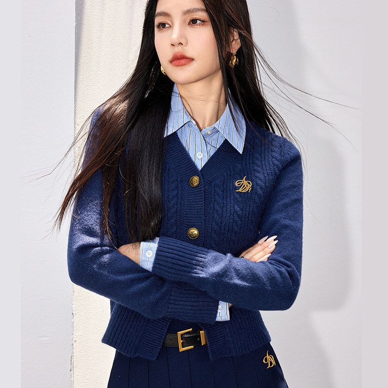 X0160学院风V领毛衣开衫秋冬季刺绣内搭针织衫女中东Temu跨境女装