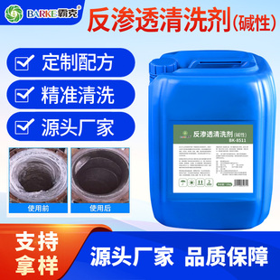 反渗透清洗剂RO膜除垢剂纯净水设备滤芯饮水机疏通剂阻垢剂厂家