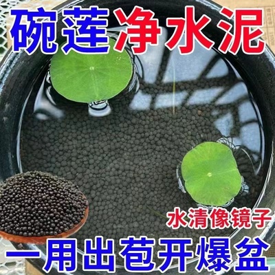 碗莲泥水草泥高肥力不臭水不浑水荷塘睡莲水培植物营养陶粒泥