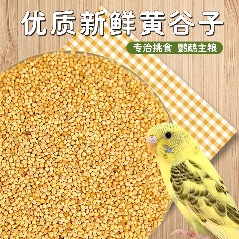 新黄谷子带壳小米虎皮牡丹玄凤中小型鹦鹉文鸟鸟粮鸟食鸟饲料粮食