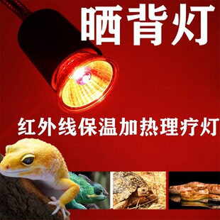 夜间爬宠红外线UVA加热灯爬虫陆龟蜥蜴变色龙蛙红外线乌龟晒背灯