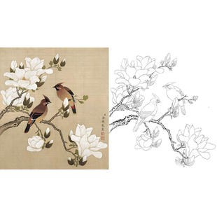 临余稚国画工笔画白描底稿《玉兰黄莺》花鸟线描打印过稿宣纸透稿