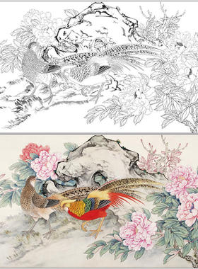 王少卿工笔画白描底稿临摹
