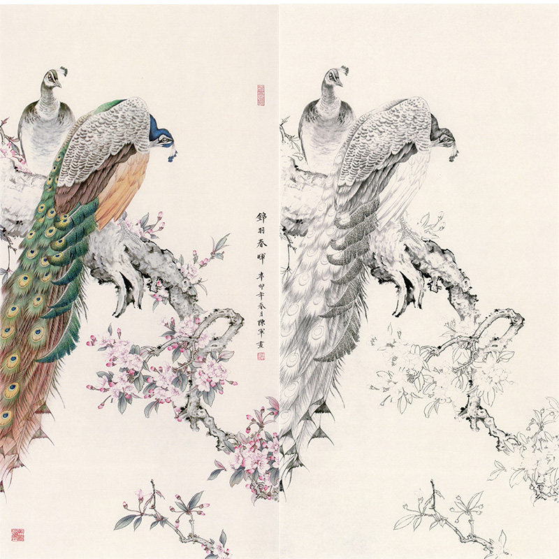 【有步骤】学习陈军海棠孔雀《锦羽春晖》花鸟国画工笔画白描底稿