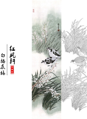 国画花鸟白描底稿四条牡丹