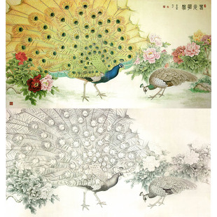 【有步骤】临王永才《春光明媚》孔雀牡丹花鸟国画工笔画白描底稿