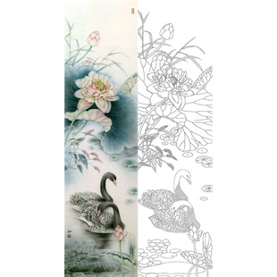 【有步骤】郑玲玲设色条屏荷花水禽黑天鹅花鸟国画工笔画白描底稿