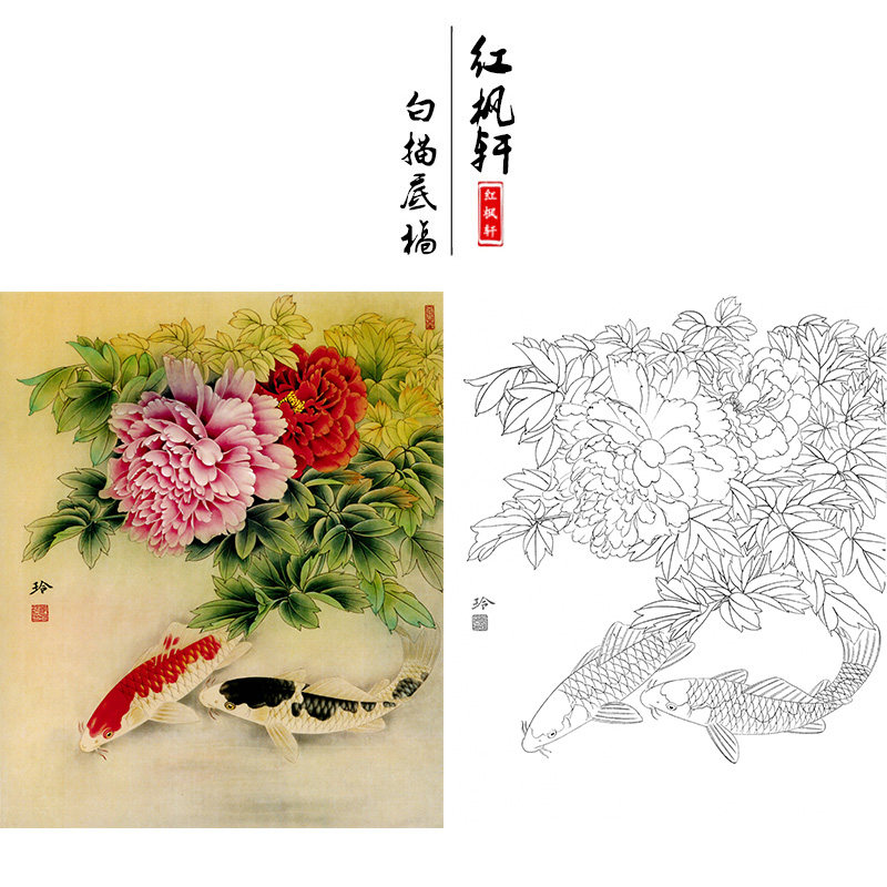 【有步骤】教程可选郑玲玲工笔画白描底稿牡丹鲤鱼《吉庆有余图》
